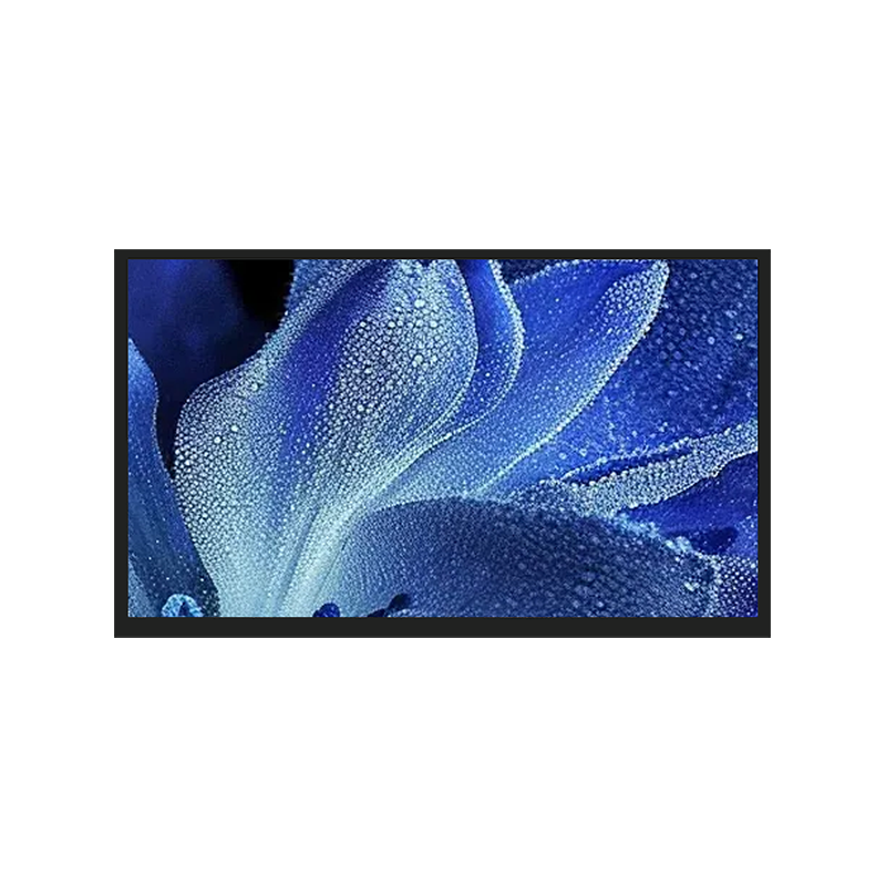 13.3-inch BOE color LCD screen